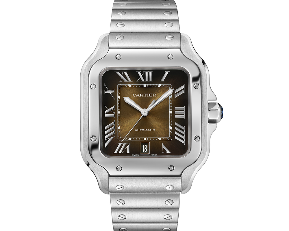 Cartier WSSA0064